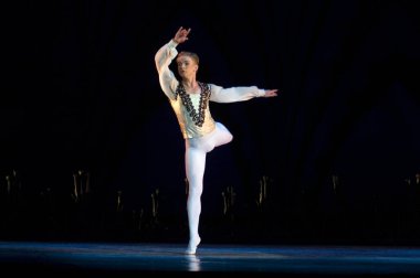 DNIPROPETROVSK, UKRAINE - 23 Nisan: Kuğu Gölü balesi Dnepropetrovsk Opera ve Bale Tiyatrosu tarafından 23 Nisan 2011 'de Dnipropetrovsk, Ukrayna' da sahnelendi.