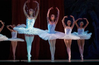 DNEPROPETROVSK, UKRAINE - Şubat 18: Fındıkkıran balesi Dnepropetrovsk Opera ve Bale Tiyatrosu tarafından 18 Şubat 2011 'de Dnepropetrovsk, Ukrayna' da sahnelendi. 