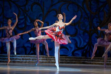 DNEPROPETROVSK, UKRAINE - 10 Haziran: Uyuyan Güzellik balesi Dnepropetrovsk Opera ve Bale Tiyatrosu tarafından 10 Haziran 2010 'da Dnepropetrovsk, Ukrayna' da sahnelendi. 