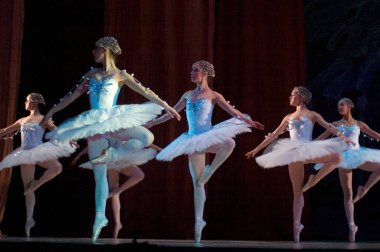 DNEPROPETROVSK, UKRAINE - Şubat 18: Fındıkkıran balesi Dnepropetrovsk Opera ve Bale Tiyatrosu tarafından 18 Şubat 2011 'de Dnepropetrovsk, Ukrayna' da sahnelendi. 