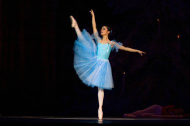 DNEPROPETROVSK, UKRAINE - Şubat 18: Fındıkkıran balesi Dnepropetrovsk Opera ve Bale Tiyatrosu tarafından 18 Şubat 2011 'de Dnepropetrovsk, Ukrayna' da sahnelendi. 