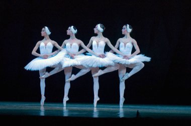 DNIPROPETROVSK, UKRAINE - 23 Nisan: Kuğu Gölü balesi Dnepropetrovsk Opera ve Bale Tiyatrosu tarafından 23 Nisan 2011 'de Dnipropetrovsk, Ukrayna' da sahnelendi..
