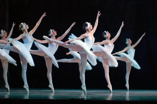 DNIPROPETROVSK, UKRAINE - 23 Nisan: Kuğu Gölü balesi Dnepropetrovsk Opera ve Bale Tiyatrosu tarafından 23 Nisan 2011 'de Dnipropetrovsk, Ukrayna' da sahnelendi.