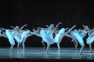 DNIPROPETROVSK, UKRAINE - 28 Aralık 2012 'de Ukrayna' nın Dnipropetrovsk kentinde Dnepropetrovsk Opera ve Bale Tiyatrosu tarafından sahnelenen Kuğu Gölü balesi.