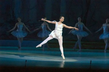 DNEPROPETROVSK, UKRAINE - FEBRUARY 8: Dnepropetrovsk Devlet Opera ve Bale Tiyatrosu üyeleri DON QUIXOTE 'yi 8 Şubat 2014' te Dnepropetrovsk, Ukrayna 'da sahneledi