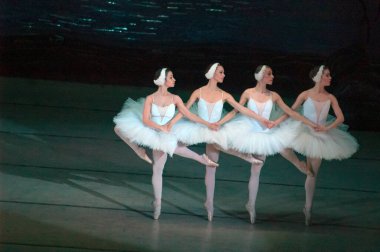 DNEPROPETROVSK, UKRAINE - 27 Nisan: Dnepropetrovsk Opera ve Bale Tiyatrosu tarafından 27 Nisan 2014 'te Dnepropetrovsk, Ukrayna' da gerçekleştirilen Kuğu Gölü balesi