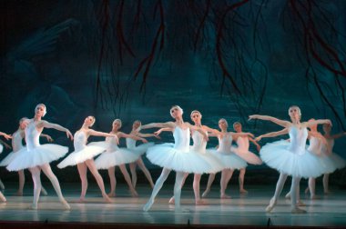 DNEPROPETROVSK, UKRAINE - 29 Mart 2014 'te Dnepropetrovsk, Ukrayna' da Dnepropetrovsk Opera ve Bale Tiyatrosu tarafından sahnelenen Kuğu Gölü balesi