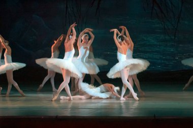 DNEPROPETROVSK, UKRAINE - 29 Mart 2014 'te Dnepropetrovsk, Ukrayna' da Dnepropetrovsk Opera ve Bale Tiyatrosu tarafından sahnelenen Kuğu Gölü balesi