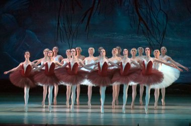 DNEPROPETROVSK, UKRAINE - 29 Mart 2014 'te Dnepropetrovsk, Ukrayna' da Dnepropetrovsk Opera ve Bale Tiyatrosu tarafından sahnelenen Kuğu Gölü balesi