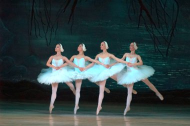DNEPROPETROVSK, UKRAINE - 29 Mart 2014 'te Dnepropetrovsk, Ukrayna' da Dnepropetrovsk Opera ve Bale Tiyatrosu tarafından sahnelenen Kuğu Gölü balesi