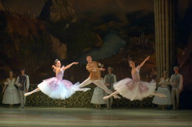 DNEPROPETROVSK, UKRAINE - 29 Mart 2014 'te Dnepropetrovsk, Ukrayna' da Dnepropetrovsk Opera ve Bale Tiyatrosu tarafından sahnelenen Kuğu Gölü balesi