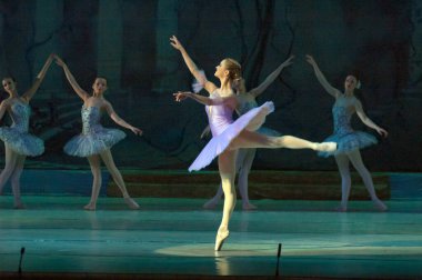 DNEPROPETROVSK, UKRAINE - FEBRUARY 8: Dnepropetrovsk Devlet Opera ve Bale Tiyatrosu üyeleri DON QUIXOTE 'yi 8 Şubat 2014' te Dnepropetrovsk, Ukrayna 'da sahneledi