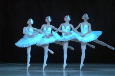 DNIPROPETROVSK, UKRAINE - 28 Aralık 2012 'de Ukrayna' nın Dnipropetrovsk kentinde Dnepropetrovsk Opera ve Bale Tiyatrosu tarafından sahnelenen Kuğu Gölü balesi.