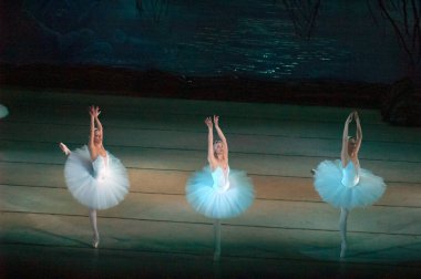 DNEPROPETROVSK, UKRAINE - 27 Nisan: Dnepropetrovsk Opera ve Bale Tiyatrosu tarafından 27 Nisan 2014 'te Dnepropetrovsk, Ukrayna' da gerçekleştirilen Kuğu Gölü balesi