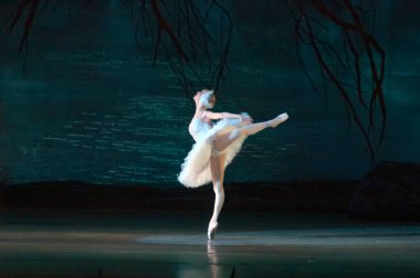 DNEPROPETROVSK, UKRAINE - 29 Mart 2014 'te Dnepropetrovsk, Ukrayna' da Dnepropetrovsk Opera ve Bale Tiyatrosu tarafından sahnelenen Kuğu Gölü balesi