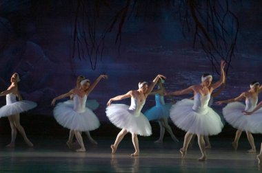 DNEPROPETROVSK, UKRAINE - 29 Mart 2014 'te Dnepropetrovsk, Ukrayna' da Dnepropetrovsk Opera ve Bale Tiyatrosu tarafından sahnelenen Kuğu Gölü balesi