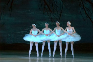 DNEPROPETROVSK, UKRAINE - 29 Mart 2014 'te Dnepropetrovsk, Ukrayna' da Dnepropetrovsk Opera ve Bale Tiyatrosu tarafından sahnelenen Kuğu Gölü balesi
