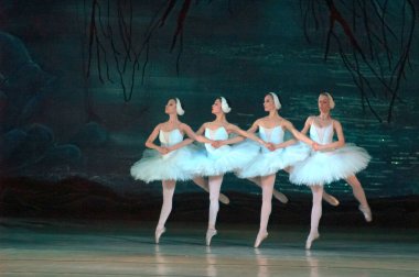 DNEPROPETROVSK, UKRAINE - 29 Mart 2014 'te Dnepropetrovsk, Ukrayna' da Dnepropetrovsk Opera ve Bale Tiyatrosu tarafından sahnelenen Kuğu Gölü balesi