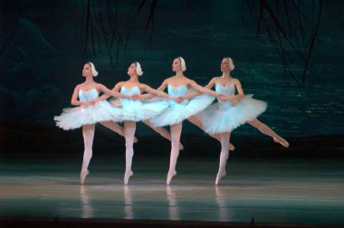 DNEPROPETROVSK, UKRAINE - 29 Mart 2014 'te Dnepropetrovsk, Ukrayna' da Dnepropetrovsk Opera ve Bale Tiyatrosu tarafından sahnelenen Kuğu Gölü balesi