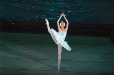 DNEPROPETROVSK, UKRAINE - 27 Nisan: Dnepropetrovsk Opera ve Bale Tiyatrosu tarafından 27 Nisan 2014 'te Dnepropetrovsk, Ukrayna' da gerçekleştirilen Kuğu Gölü balesi