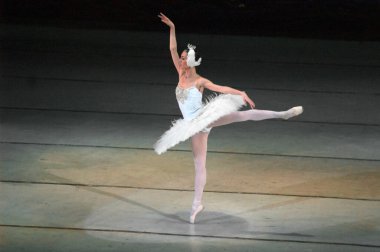 DNEPROPETROVSK, UKRAINE - 27 Nisan: Dnepropetrovsk Opera ve Bale Tiyatrosu tarafından 27 Nisan 2014 'te Dnepropetrovsk, Ukrayna' da gerçekleştirilen Kuğu Gölü balesi