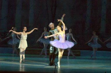 DNEPROPETROVSK, UKRAINE - FEBRUARY 8: Dnepropetrovsk Devlet Opera ve Bale Tiyatrosu üyeleri DON QUIXOTE 'yi 8 Şubat 2014' te Dnepropetrovsk, Ukrayna 'da sahneledi