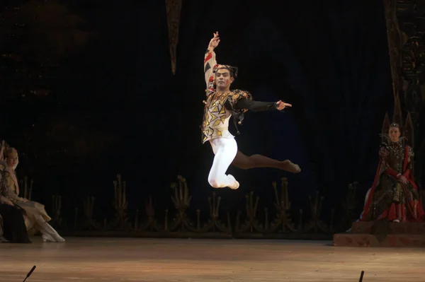 Dnipropetrovsk Ukraine December Swan Lake Ballet Performance Dnepropetrovsk Opera Ballet — 图库照片