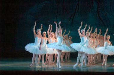 DNEPROPETROVSK, UKRAINE - 29 Mart 2014 'te Dnepropetrovsk, Ukrayna' da Dnepropetrovsk Opera ve Bale Tiyatrosu tarafından sahnelenen Kuğu Gölü balesi