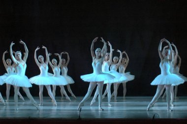 DNIPROPETROVSK, UKRAINE - 28 Aralık 2012 'de Ukrayna' nın Dnipropetrovsk kentinde Dnepropetrovsk Opera ve Bale Tiyatrosu tarafından sahnelenen Kuğu Gölü balesi.