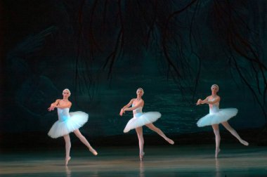 DNEPROPETROVSK, UKRAINE - 29 Mart 2014 'te Dnepropetrovsk, Ukrayna' da Dnepropetrovsk Opera ve Bale Tiyatrosu tarafından sahnelenen Kuğu Gölü balesi