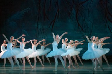 DNEPROPETROVSK, UKRAINE - 29 Mart 2014 'te Dnepropetrovsk, Ukrayna' da Dnepropetrovsk Opera ve Bale Tiyatrosu tarafından sahnelenen Kuğu Gölü balesi