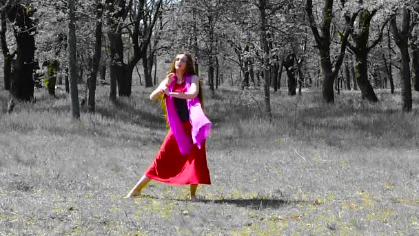 Kırmızı Elbiseli Uzun Saçlı Güzel Genç Kız Ormanda Dans Ediyor — Stok video