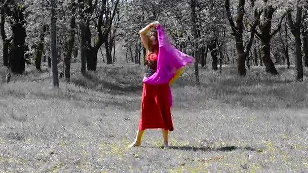 Kırmızı Elbiseli Uzun Saçlı Güzel Genç Kız Ormanda Dans Ediyor — Stok video