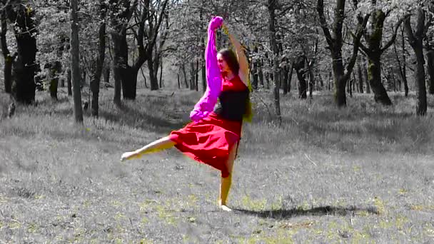 Schöne Junge Mädchen Mit Langen Haaren Einem Roten Kleid Tanzt — Stockvideo