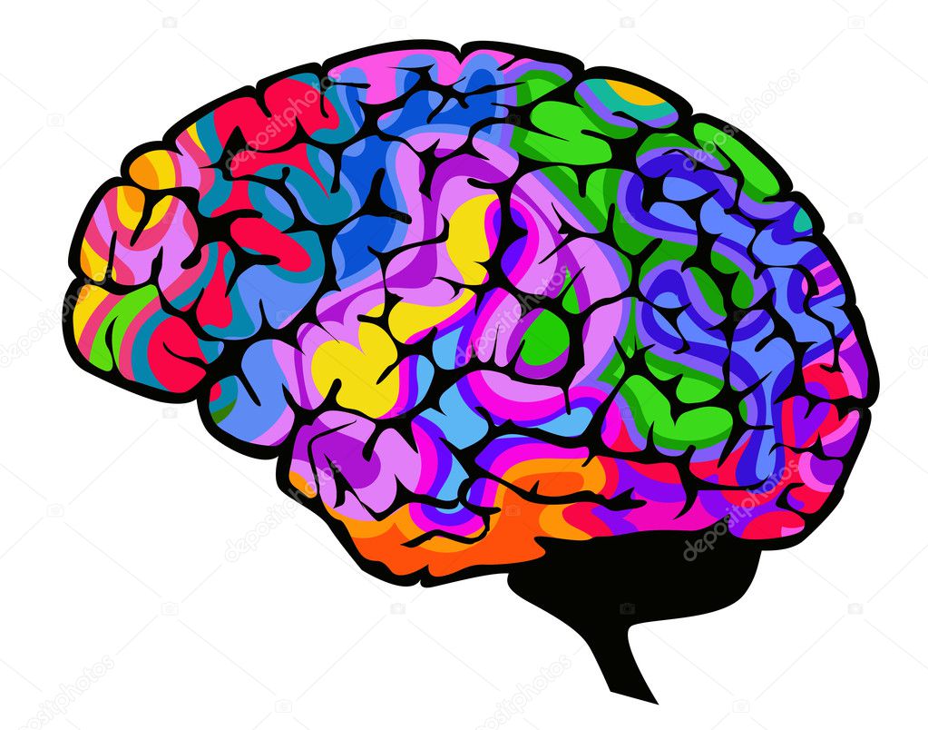 Brain vector illustration with colourful brainwaves. — Stock Vector
