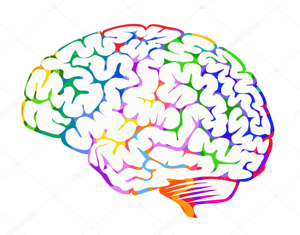 Brain illustration with colourful brainwaves.