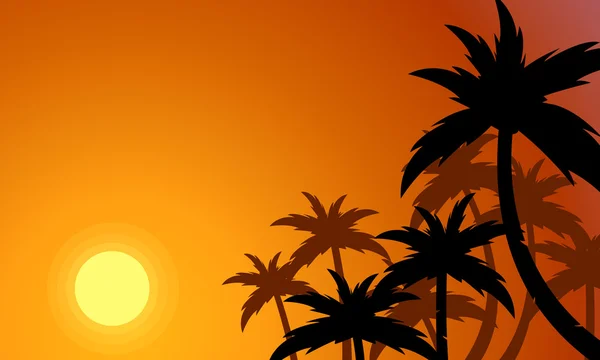 Silhouette des Palmenwaldes bei Sonnenuntergang — Stockvektor