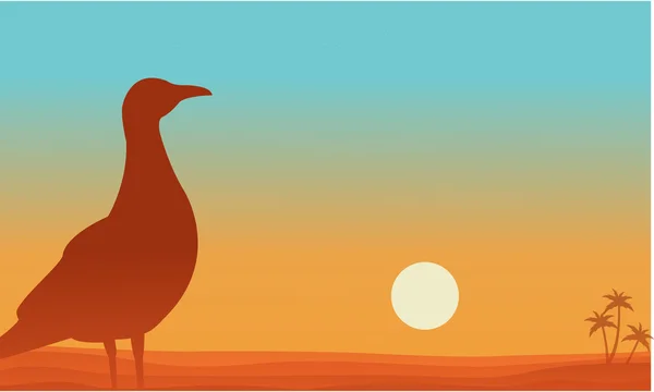 Landscape of bird in beach silhouettes — Stock vektor
