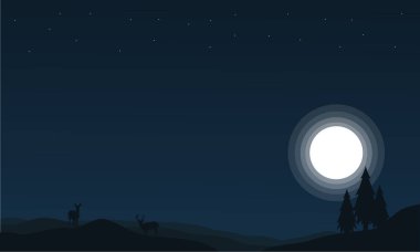 Gece geyik ve Ladin Noel sahne