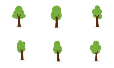 Ağaç koleksiyonu hisse senedi kümesi