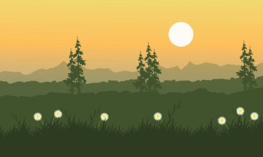 Ladin ve turuncu gökyüzü ile çiçek peyzaj