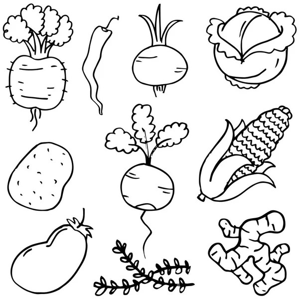 Black and white vegetables drawing Set Hand Drawing Black White