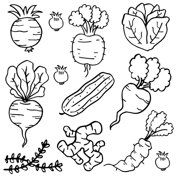手绘的蔬菜涂鸦 — 图库矢量图片