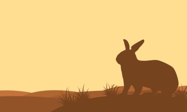 Manzara Bunny tepe vektör sanat