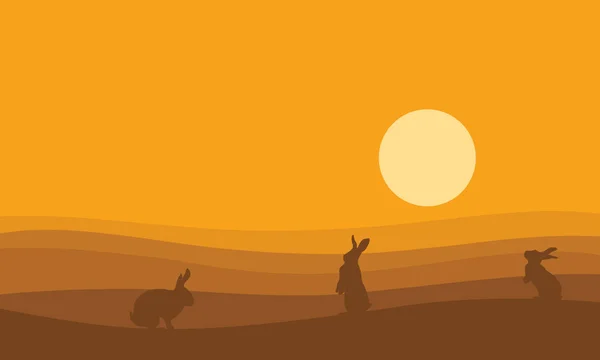 Σιλουέτα του λαγουδάκι για την έρημο στο ηλιοβασίλεμα — Διανυσματικό Αρχείο