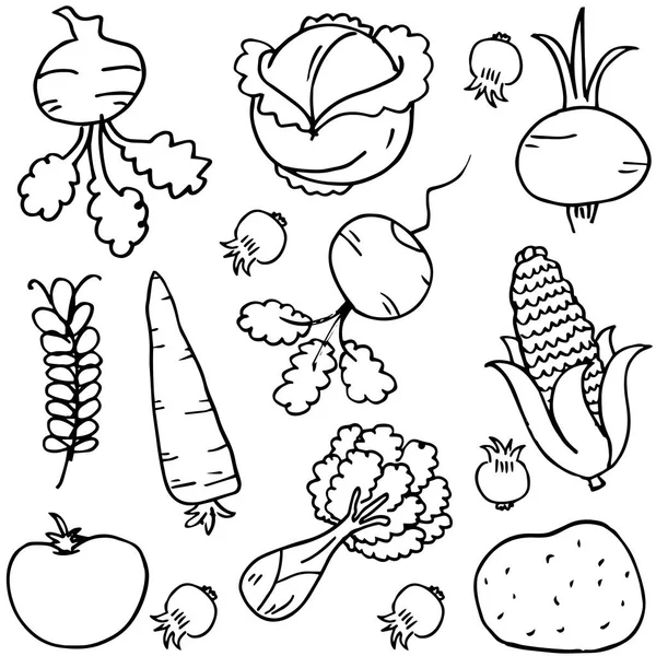 Vetor de ilustração de doodles de legumes — Vetor de Stock