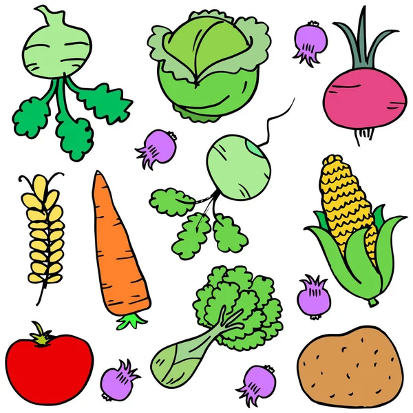 Vetor de ilustração do conjunto de doodle vegetal — Vetor de Stock