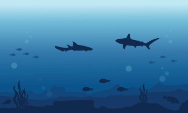 Çeşitli su altında arka plan balık silüeti