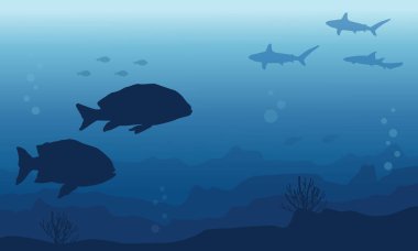Sualtı manzara ve balık siluetleri