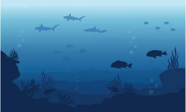 Balık ve resif güzellik manzara siluet